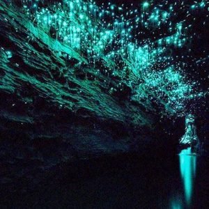 WATCH: Blackwater Rafting The Glow Worm Caves Of Waitomo In Newzealand